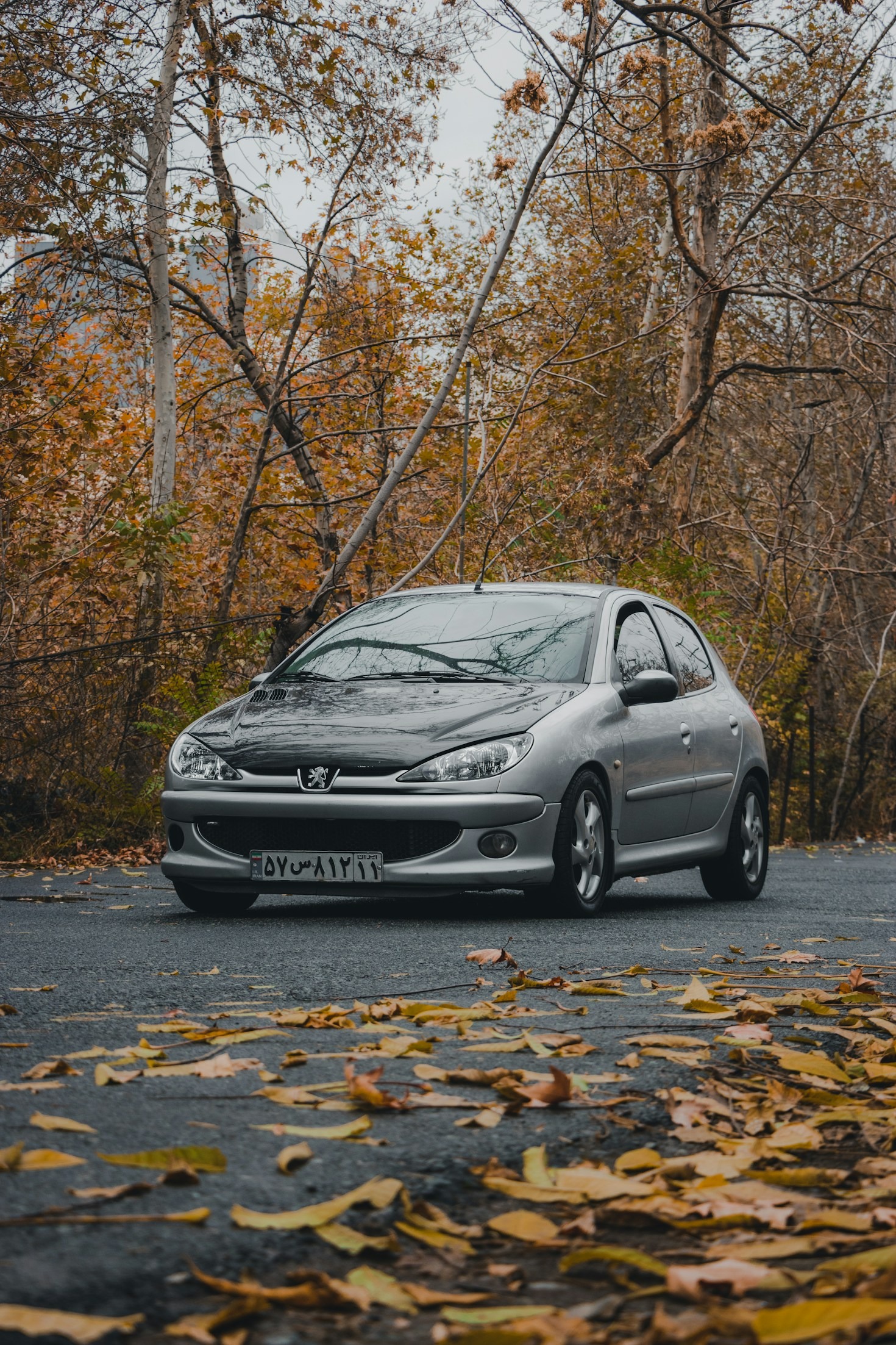 Comment améliorer la performance de votre Peugeot 206